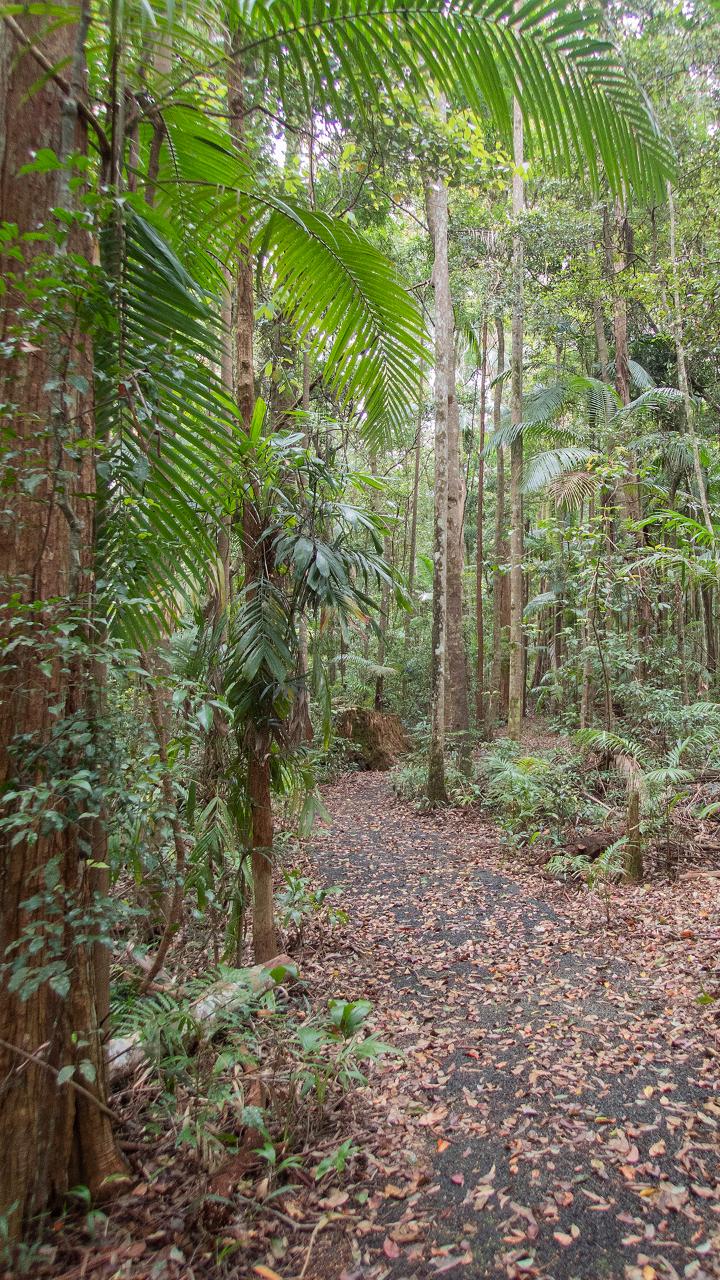 Tawny Trails