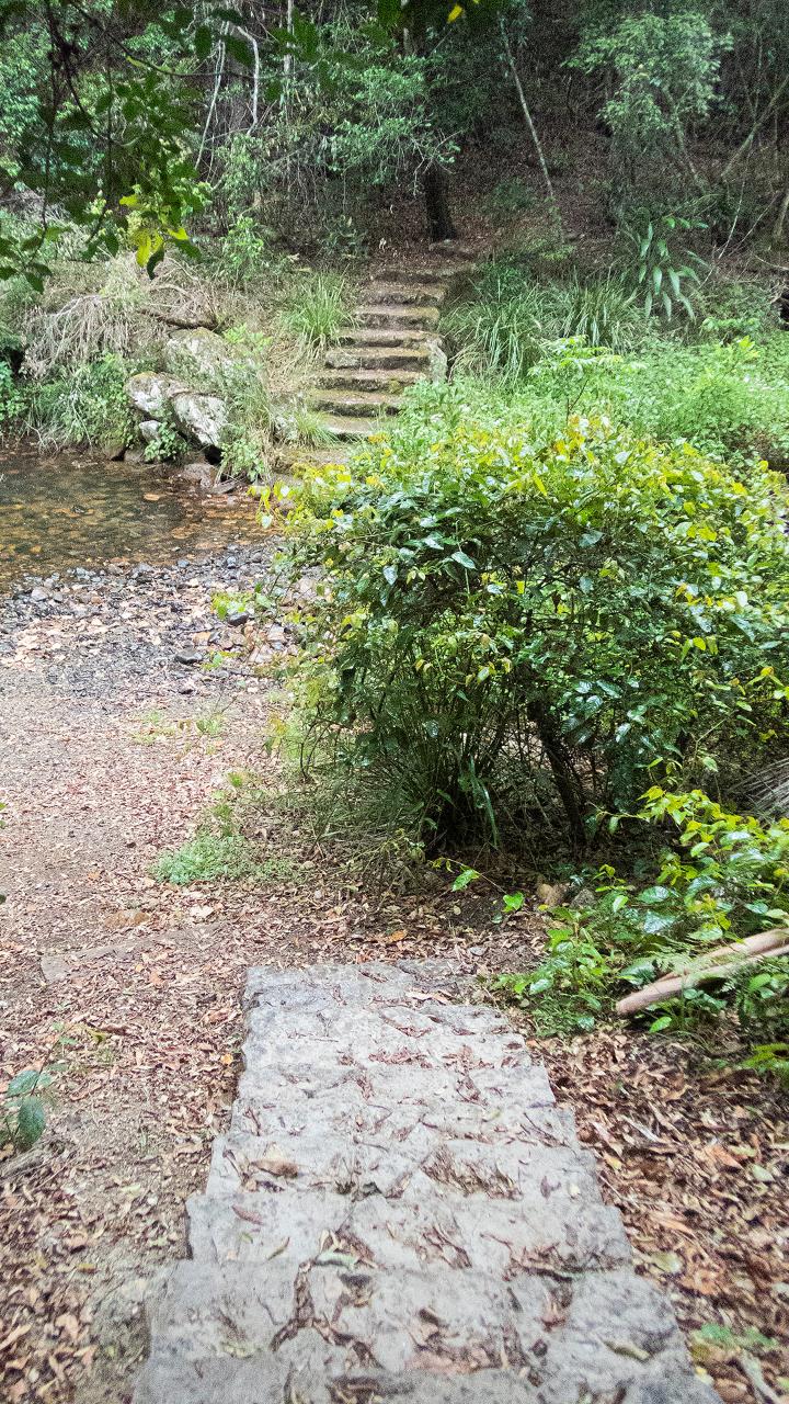 Tawny Trails