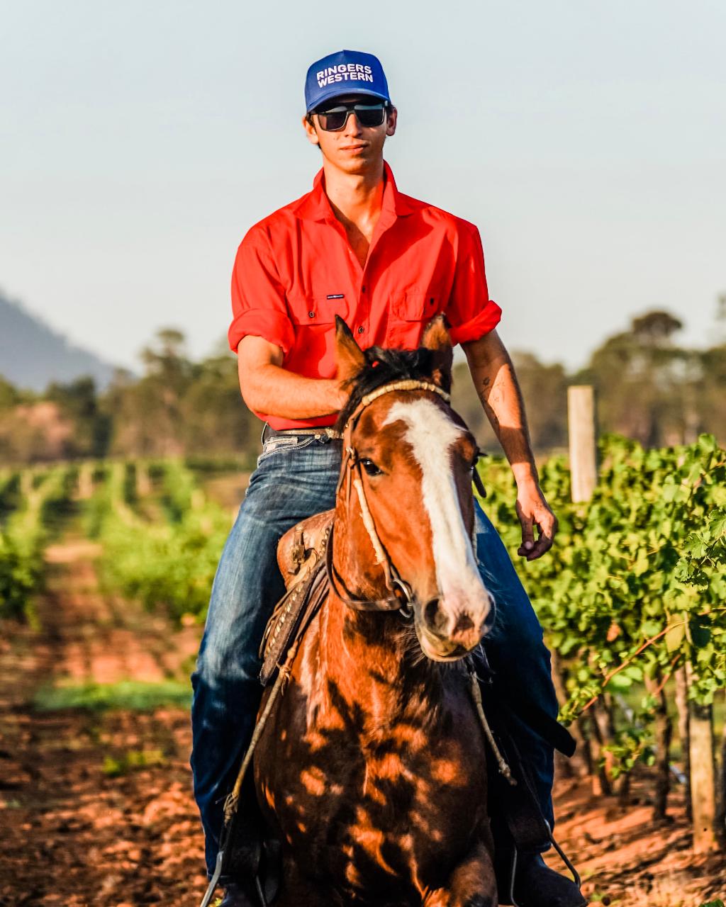 90-Minute Horseback Vineyard Trail Ride