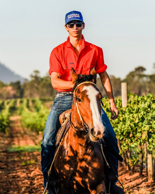 90-Minute Horseback Vineyard Trail Ride