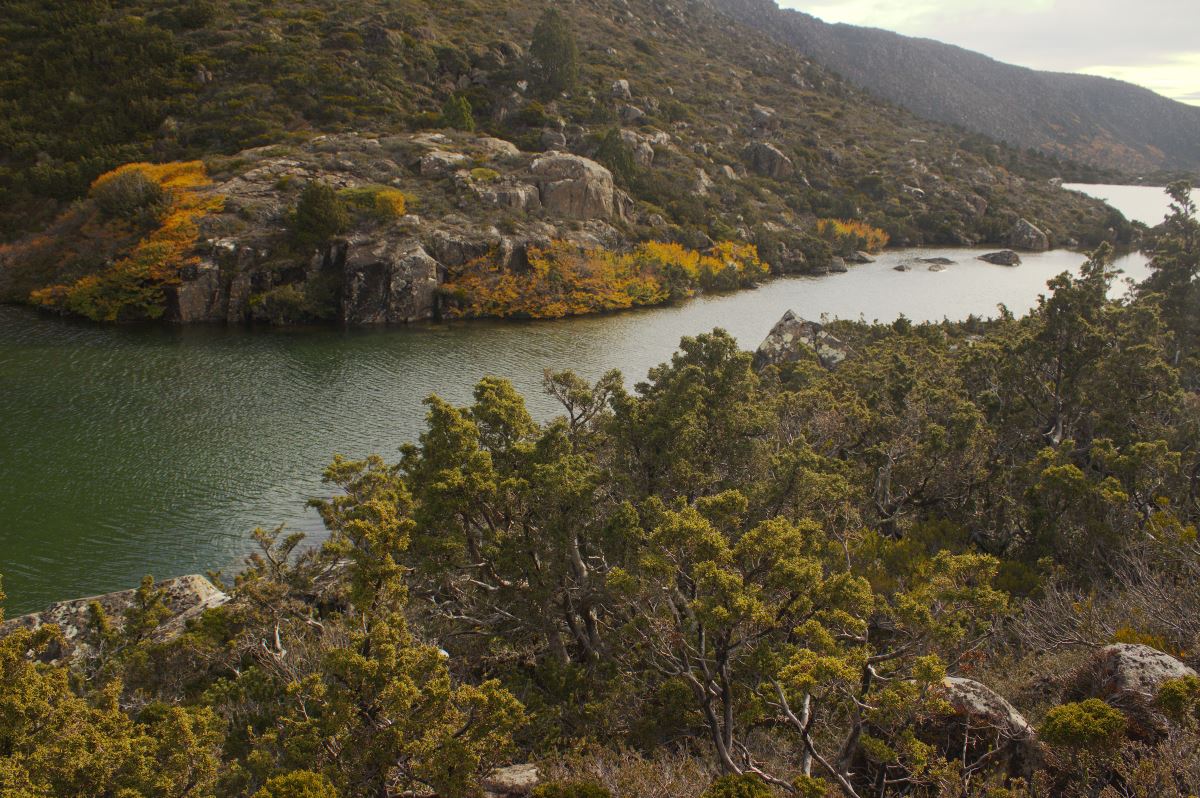 South West & Mount Field - Lutruwita Tasmania - 4 Days