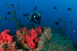 Double Dive: Ex-Hmas Brisbane Wreck