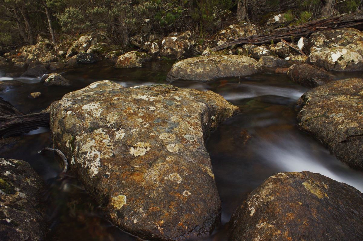 South West & Mount Field - Lutruwita Tasmania - 4 Days