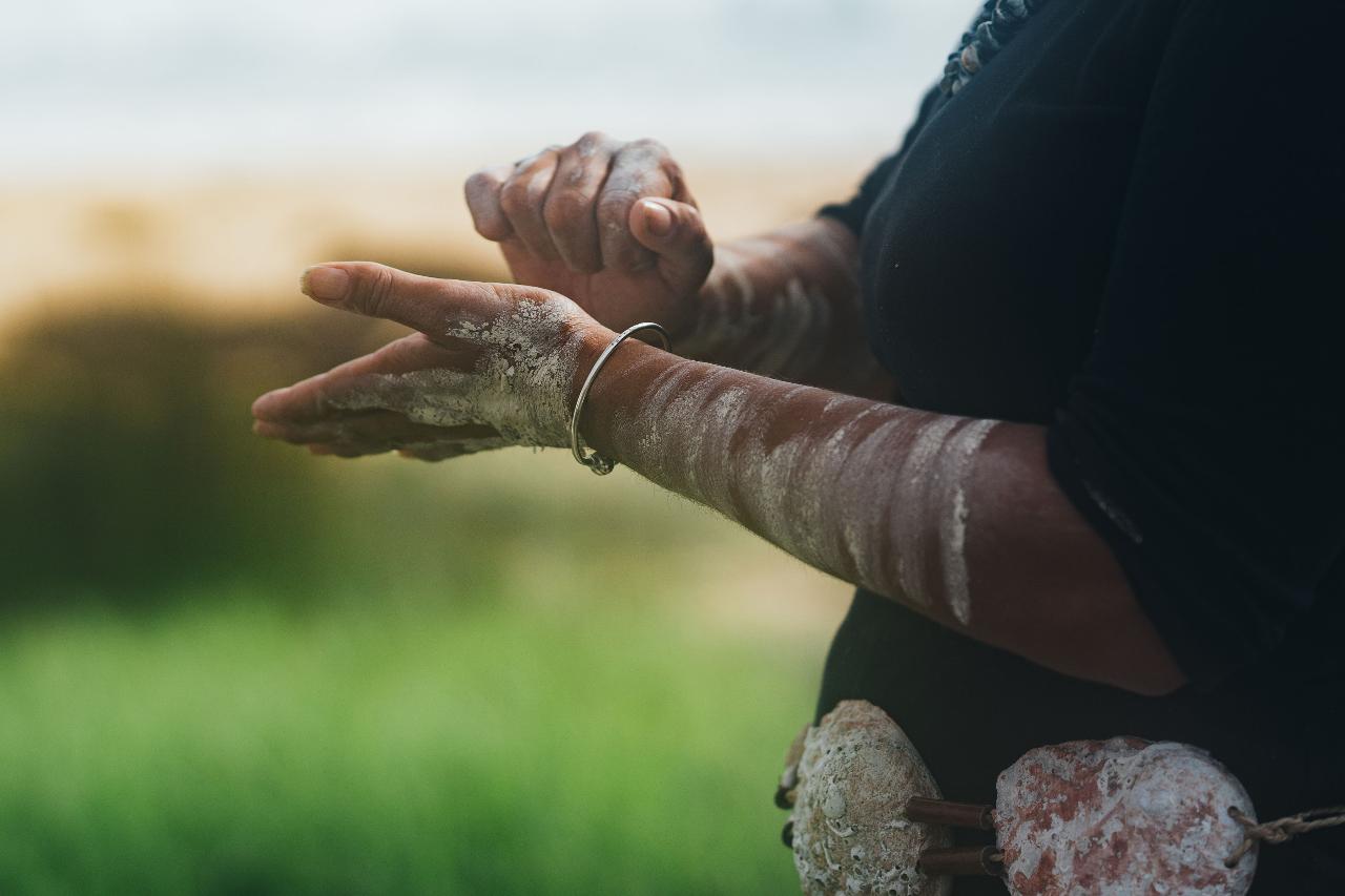 Mills Bay Cultural Tour With Sharon Mason Of Gnarl Cutural Tours