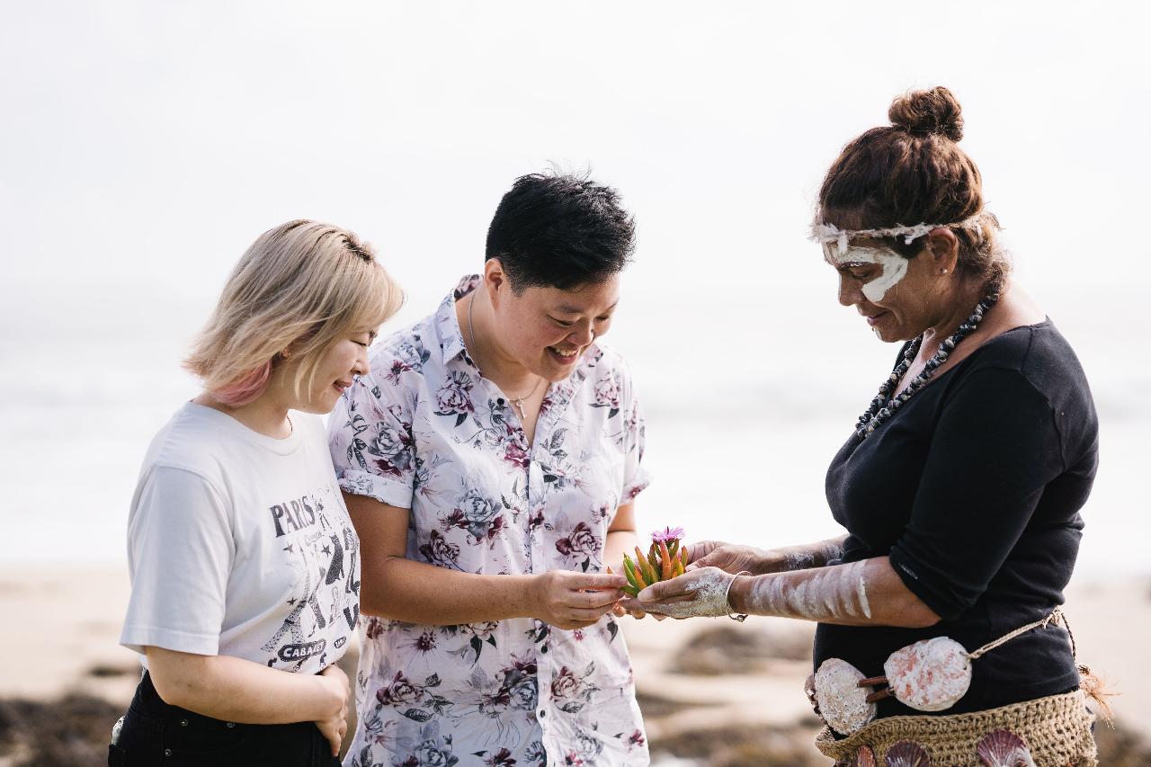 Walk On Country Tour In Mystery Bay With Gnarl Cutural Tours