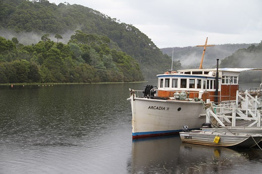 Takayna & Tarkine Wilderness Highlights - Lutruwita Tasmania - 5 Days