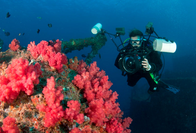 Double Dive: Ex-Hmas Brisbane Wreck