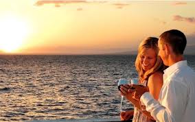 Small Group Dolphin & Seal Swim - Private Charter