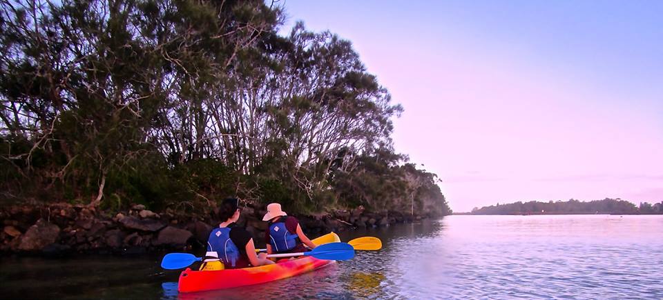 Sunrise Brunswick River Nature Kayak Tour