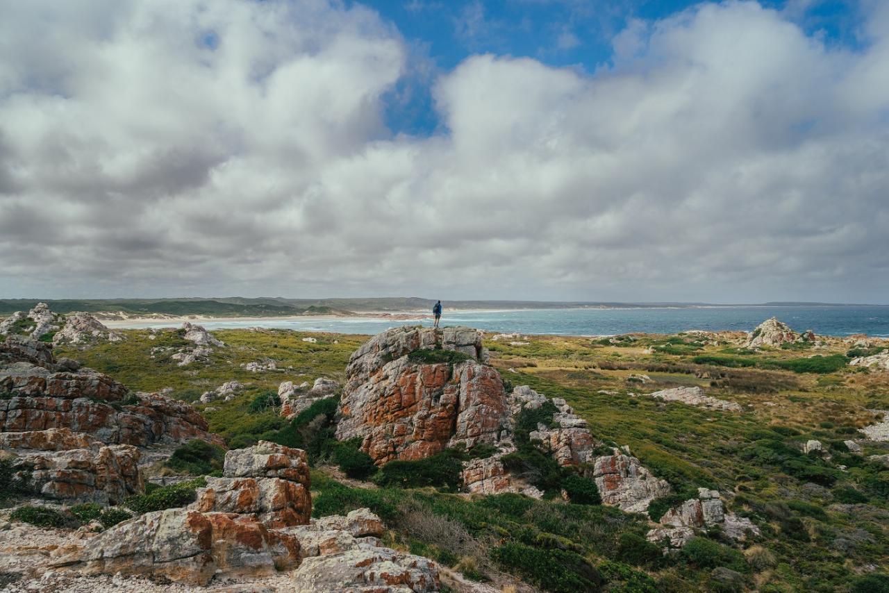 Takayna & Tarkine Wilderness Highlights - Lutruwita Tasmania - 5 Days