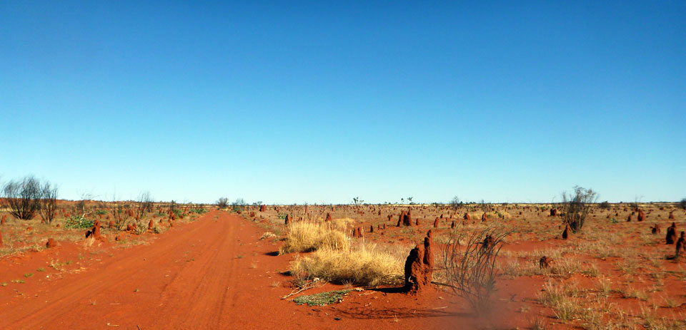 Bindibu Country And Pintubi Nine