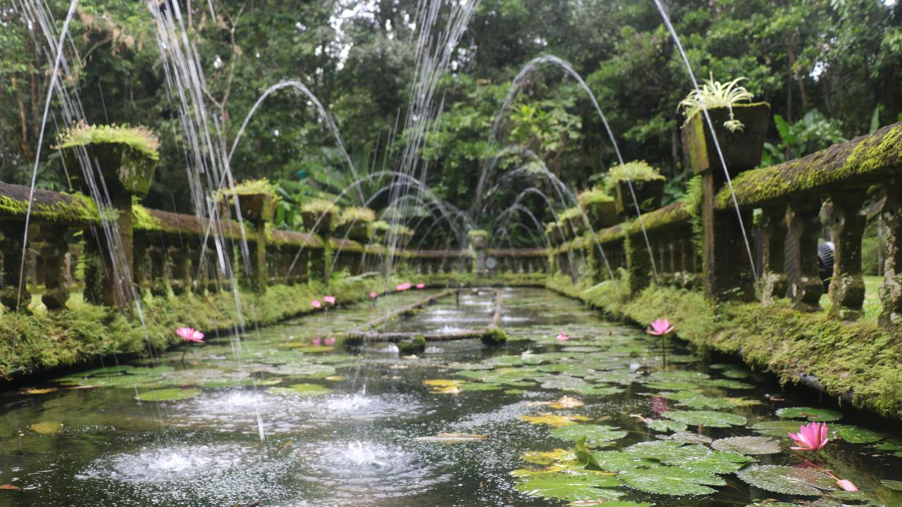 The Paronella Experience