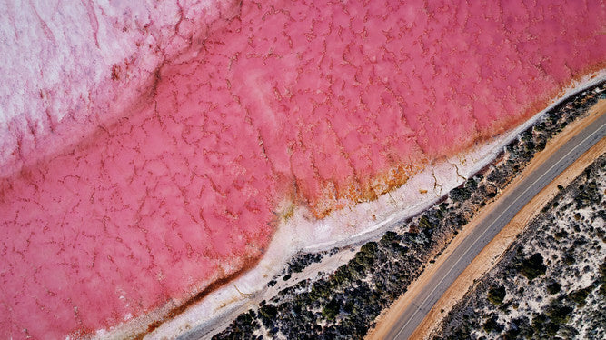 Pink Lake Buggy Tour