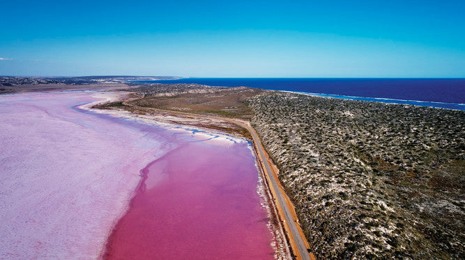 Pink Lake Buggy Tour