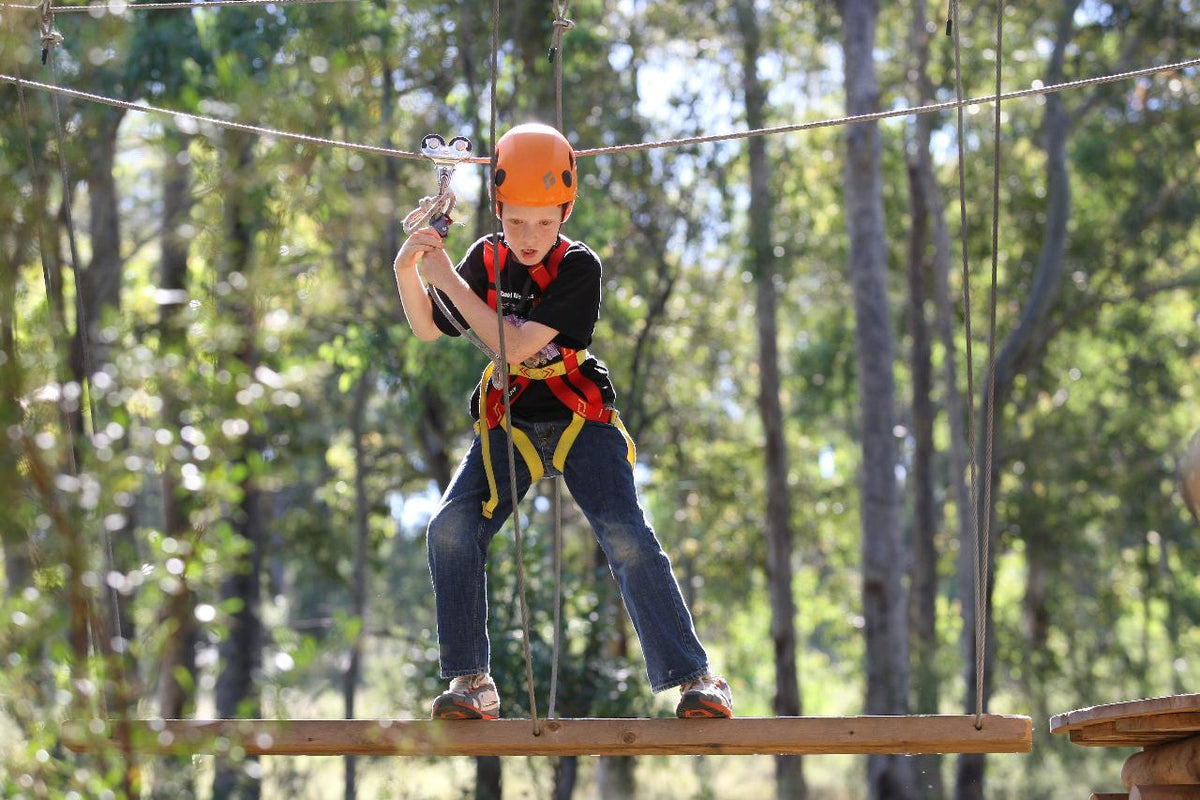 Geronimo Tree Rope Course Tree Ropes Course – We Wander Experiences