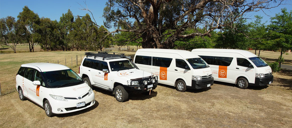 2 Day Great Ocean Road