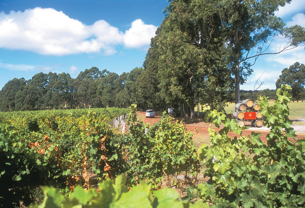 Swan Valley Fruit Orchard & Wildlife Park