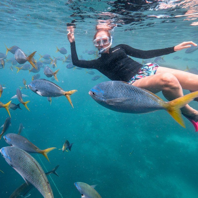 Great Barrier Reef Full Day Adventure