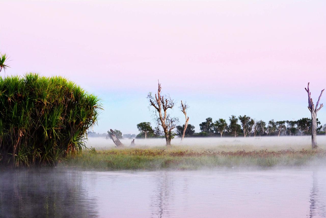 Best In The Wet - 3 Day Litchfield & Kakadu